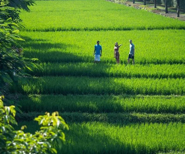 Adiwana Bisma Ubud